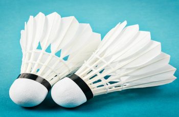 The Astonishing Badminton Shuttlecock: Do You Know All The Different Types?