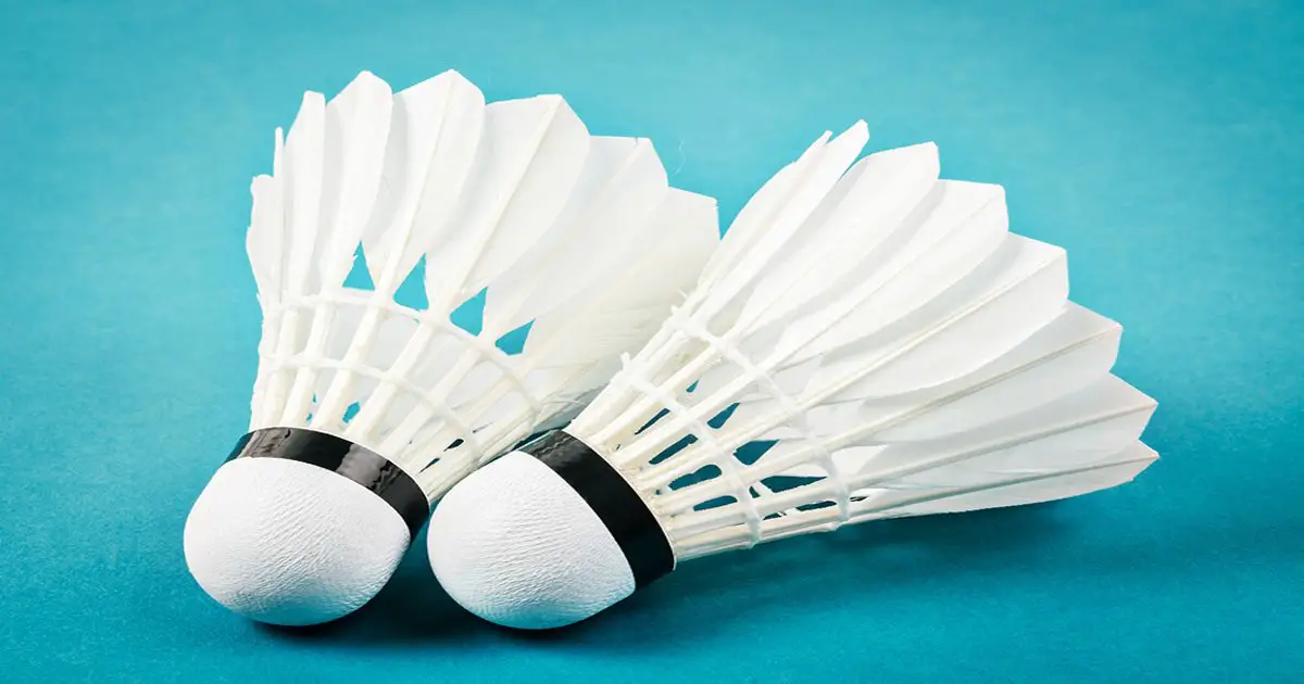 Badminton Birdies